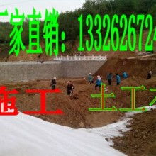 山東土工材料生產(chǎn)廠 專注于土工格柵、玻璃纖維格柵及土工針刺地毯的制造